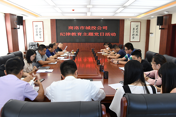 市城投公司開展“明紀(jì)律、知敬畏、存戒懼、守底線、做表率”紀(jì)律教育學(xué)習(xí)活動(dòng)
